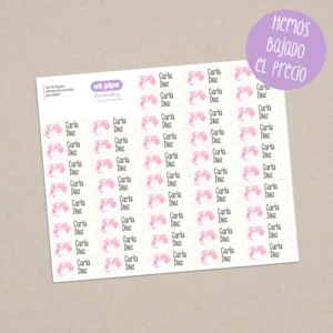 Pack 46 etiquetas adhesivas personalizadas para objetos Cisne