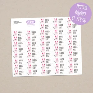 Pack 46 etiquetas adhesivas personalizadas para objetos Conejito Rosa