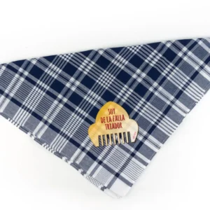Pañuelo Fallero Soy de la Falla (Nombre) + Peineta